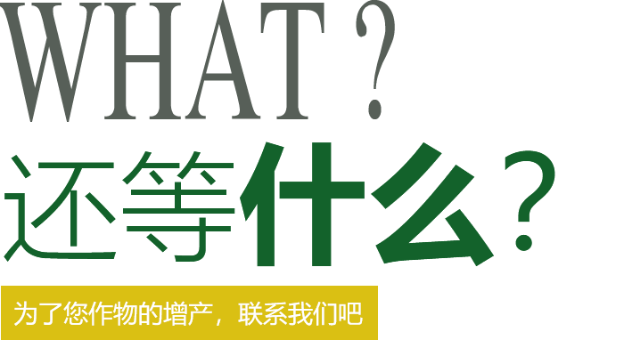 還在等什么？快來聯系我們吧